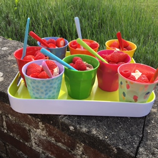 Ice Cream in Rice DK Melamine Cups